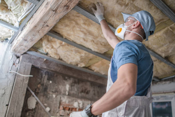 Best Insulation Installation Services in St John, KS